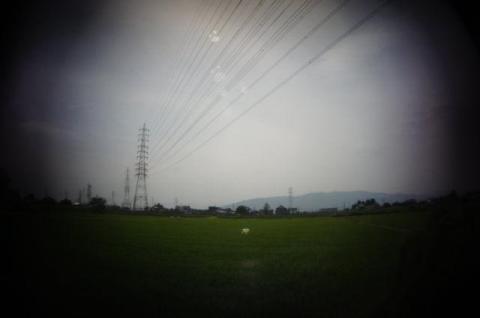 HOLGA fisheye画角