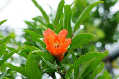 E 3.5-6.8/18-55 (3) 25%