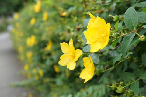 E 3.5-6.8/18-55 (4) 25%