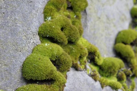 E 3.5-6.8/18-55 (6) 25%