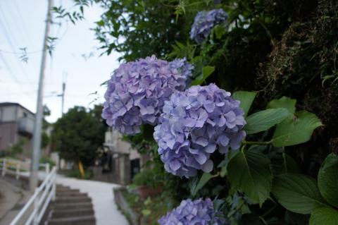 E 3.5-6.8/18-55 (7) 25%