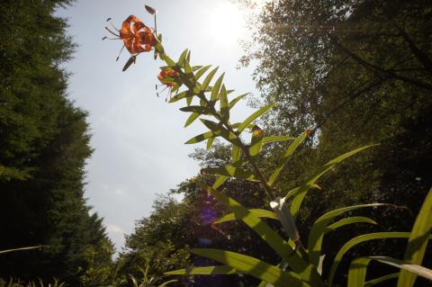 NEX-5 + ULTRA WIDE-HELIAR 12mm F5.6 (3)