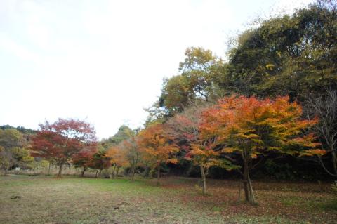 NEX オートHDR OFF (1)