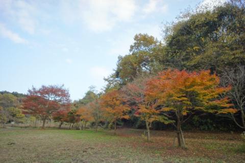 NEX オートHDR ON (1)