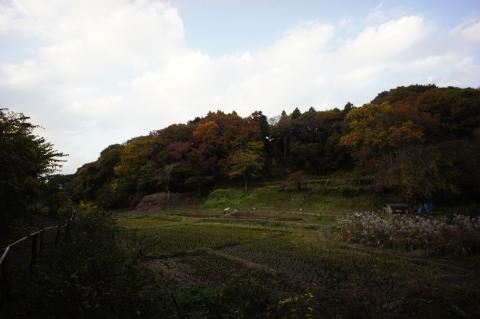 NEX オートHDR OFF (2)