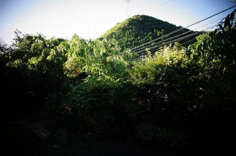 E 2.8/16 (9) FishEye conv. + トイカメラ風