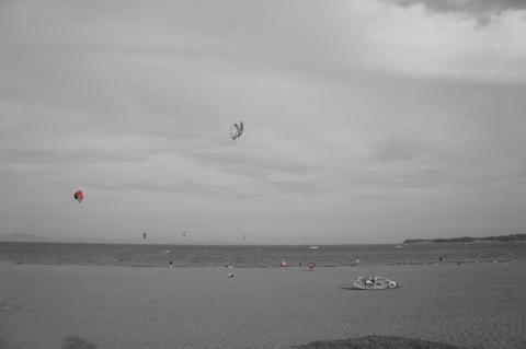 NEX-5 パートカラー(レッド)