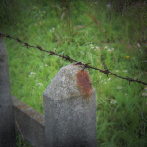 HOLGA 1:8 HL(W)-OP f=25mm (4)