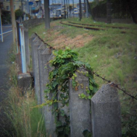 HOLGA 1:8 HL(W)-OP f=25mm (6)