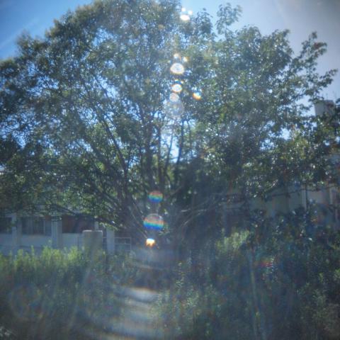 HOLGA Fisheye Lens(2)