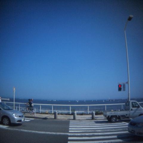 HOLGA Fisheye Lens(9)