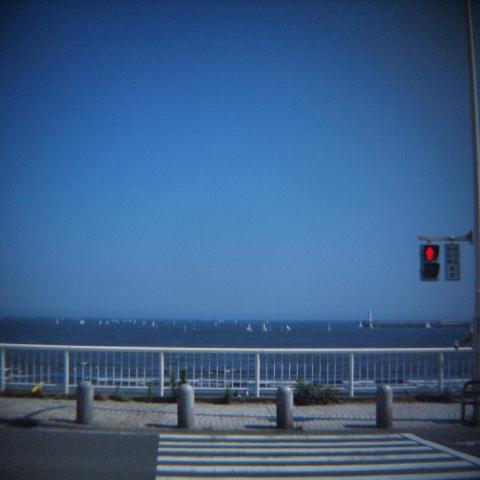 HOLGA Wide Lens 0.5x(1)