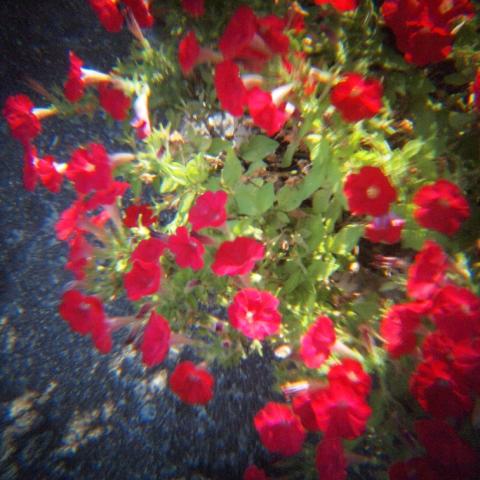 HOLGA Tele Lens 2.5x(3)