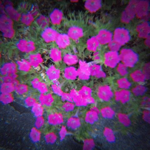 HOLGA Tele Lens 2.5x(4)