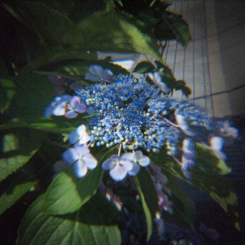 HOLGA Tele Lens 2.5x(6)