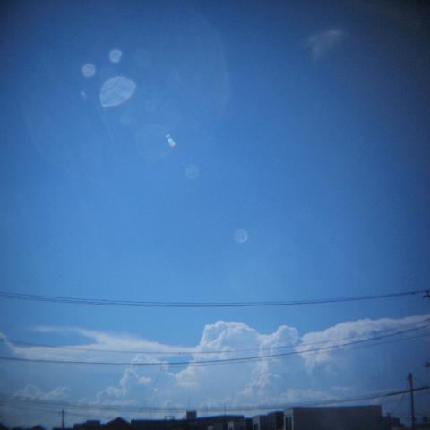 HOLGA Wide Lens 0.5x(3)