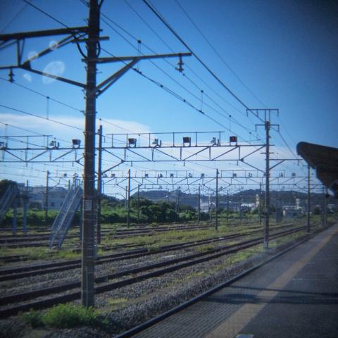 HOLGA Wide Lens 0.5x(4)