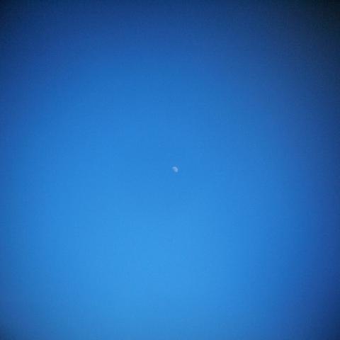 HOLGA Wide Lens 0.5x(8)