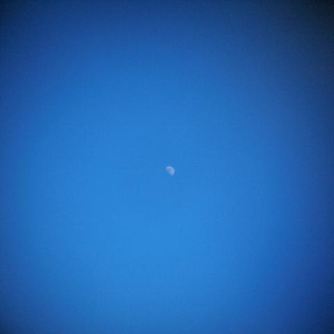 HOLGA Tele Lens 2.5x(7)