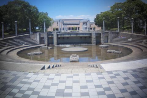 HOLGA Fisheye Lens(11)