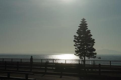 NEX-5N E 3.5-6.8/18-55 (1)