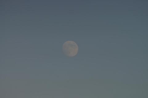 2011.9.10 の月 25%縮小