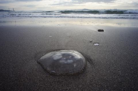 NEX-5N + SUPER WIDE-HELIAR 15mm (2)