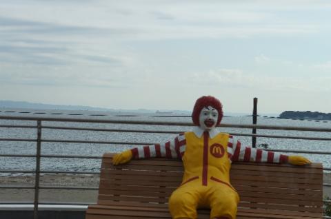 ステライメージ6.5 一般写真 (1)