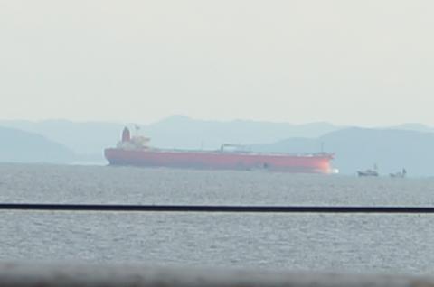 ステライメージ6.5 一般写真 (4)