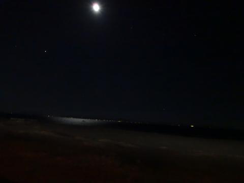 頑張ってくれた