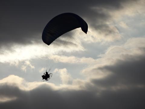 うるさくても絵にはなる