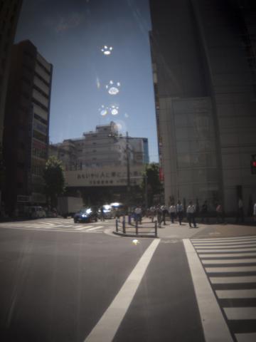 フレアが酷い。犬の足跡みたいで可愛いけどwww