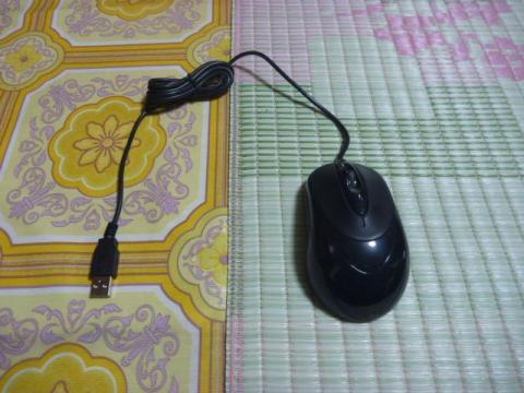 マウス