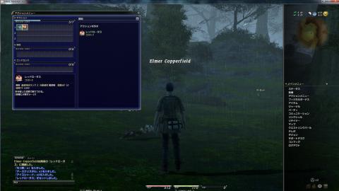 FF14プレイ画面5