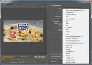 PremiereでMCのCodec Suite
