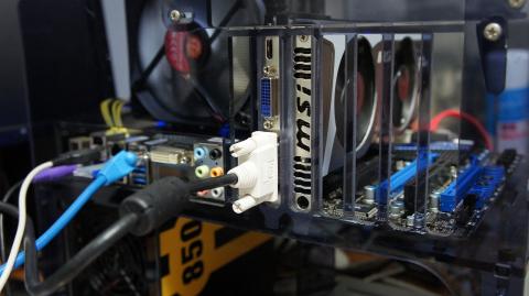 側面からパシャリ