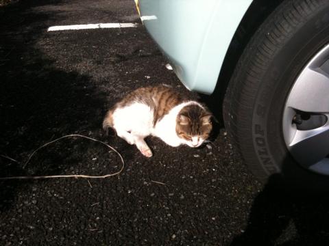 3GS f/2.8 1/1026秒 iSO64