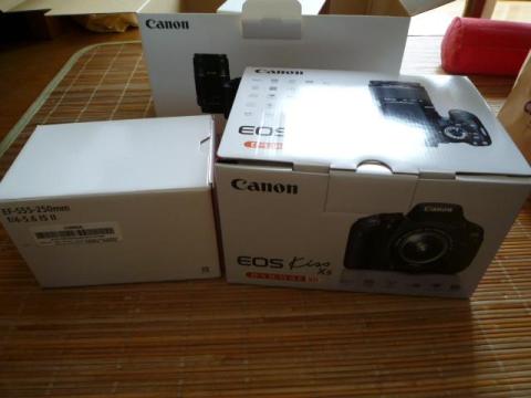 中には、レンズキットと望遠ズームが・・・