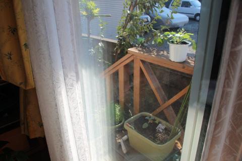 フィルタ無しでの反射の状態