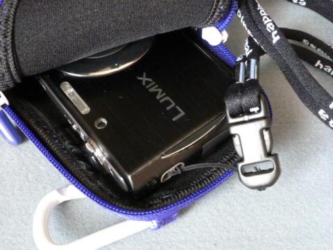 FH5がちょうど収まります。