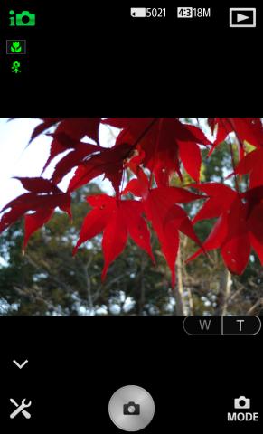 ポートレート撮影イメージ