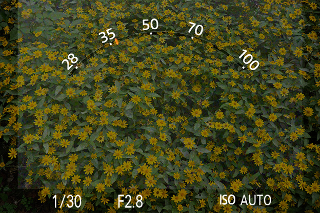 ズームコントロール