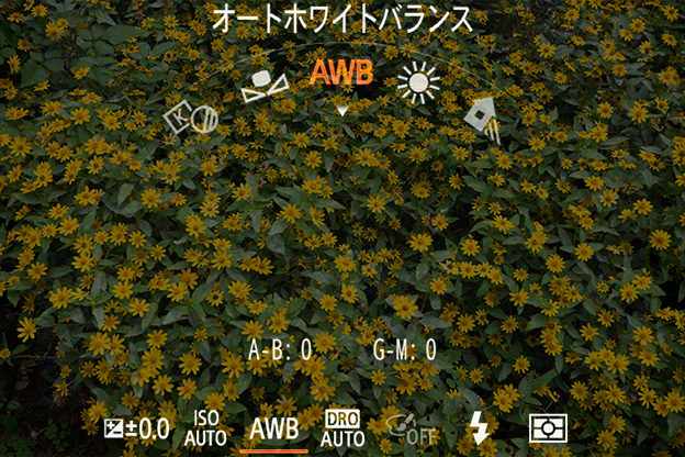 ホワイトバランス