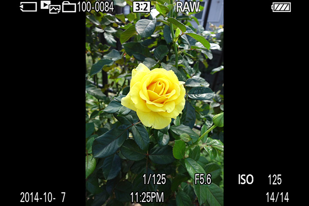 撮影時のデータ表示