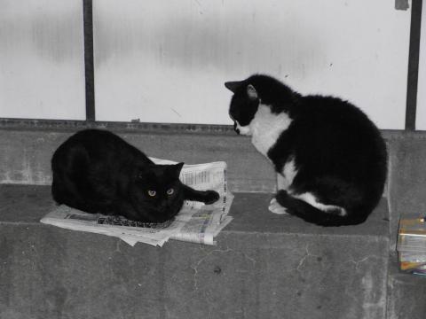 秋葉原芳林公園