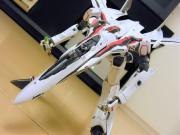 塗装 ガウォーク with ランカ