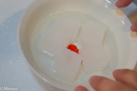 栽培スポンジを水に浸す。