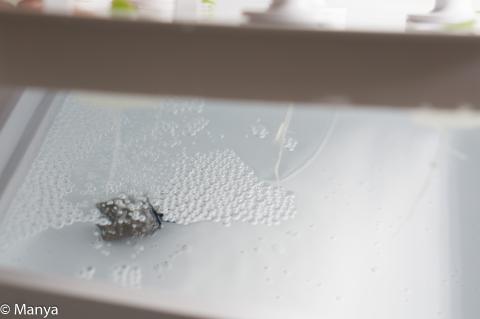 エアレーション