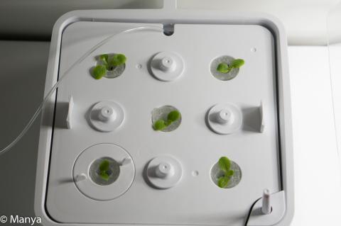 下部ユニット隙間からチューブを出せる。