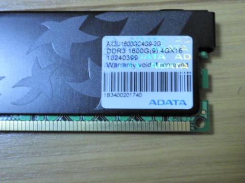 チップはどこのかな!?